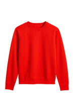 Load image into Gallery viewer, Ziggy Sweatshirt | perfectwhitetee
