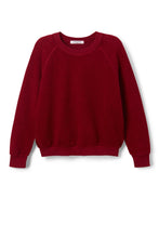 Load image into Gallery viewer, Ziggy Sweatshirt | perfectwhitetee
